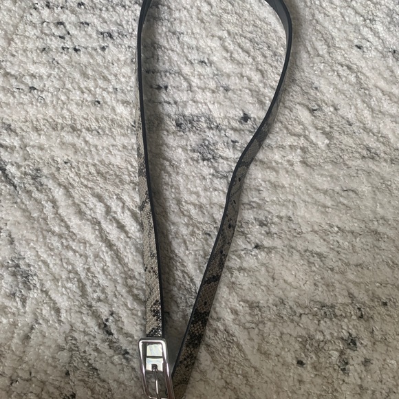 EXPRESS SILVER AND SNAKE BELT - Picture 4 of 5